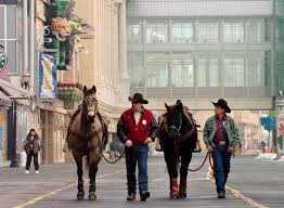 Rodeo Atlantic City Boardwalk Hall